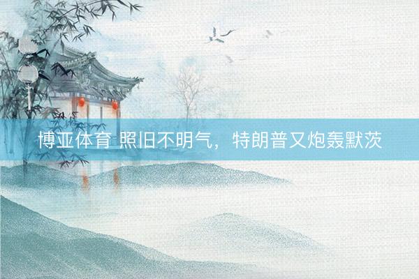 博亚体育 照旧不明气，特朗普又炮轰默茨