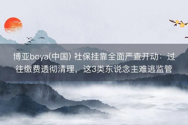 博亚boya(中国) 社保挂靠全面严查开动：过往缴费透彻清理，这3类东说念主难逃监管