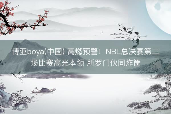 博亚boya(中国) 高燃预警！NBL总决赛第二场比赛高光本领 所罗门伙同炸筐