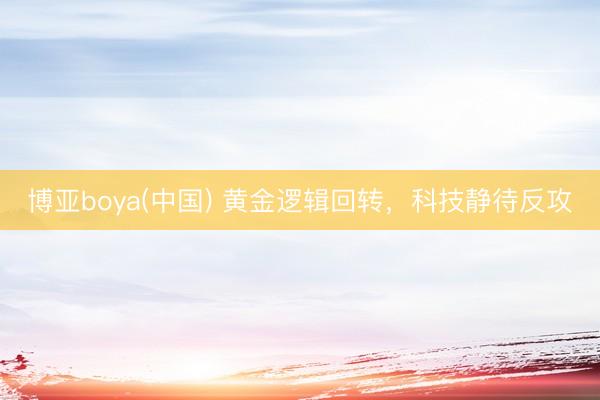 博亚boya(中国) 黄金逻辑回转，科技静待反攻