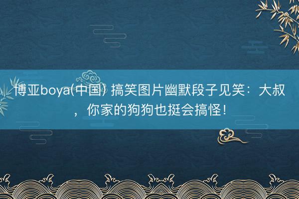 博亚boya(中国) 搞笑图片幽默段子见笑：大叔，你家的狗狗也挺会搞怪！