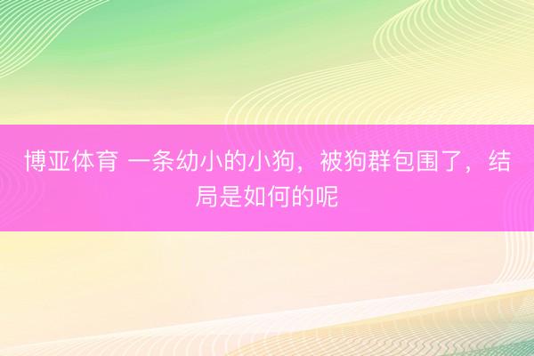 博亚体育 一条幼小的小狗，被狗群包围了，结局是如何的呢