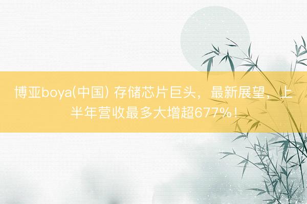 博亚boya(中国) 存储芯片巨头，最新展望，上半年营收最多大增超677%！