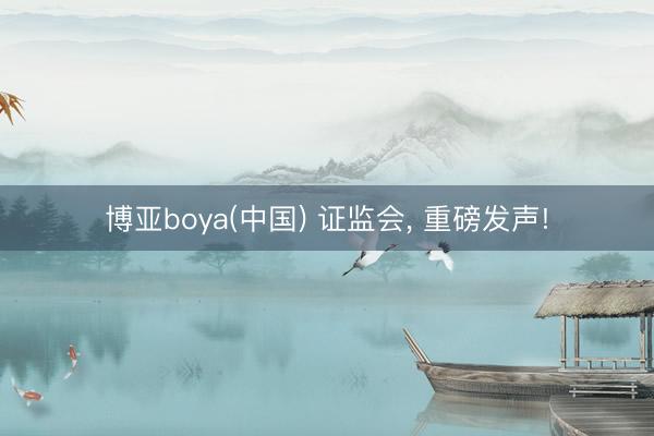 博亚boya(中国) 证监会, 重磅发声!