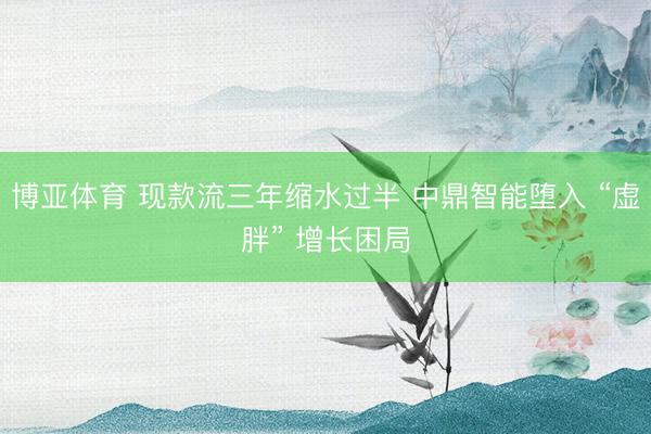 博亚体育 现款流三年缩水过半 中鼎智能堕入 “虚胖” 增长困局
