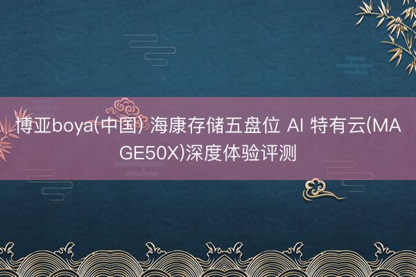博亚boya(中国) 海康存储五盘位 AI 特有云(MAGE50X)深度体验评测