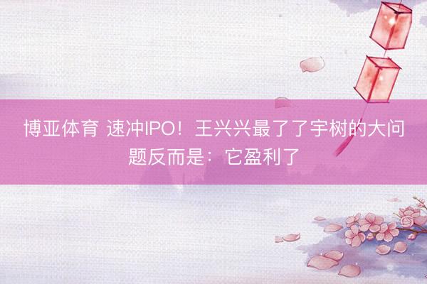 博亚体育 速冲IPO！王兴兴最了了宇树的大问题反而是：它盈利了