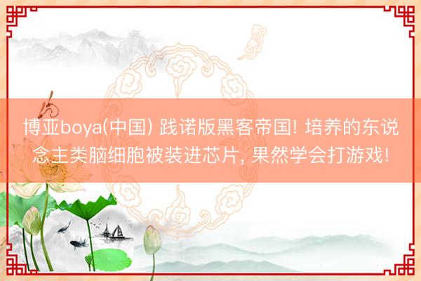 博亚boya(中国) 践诺版黑客帝国! 培养的东说念主类脑细胞被装进芯片， 果然学会打游戏!