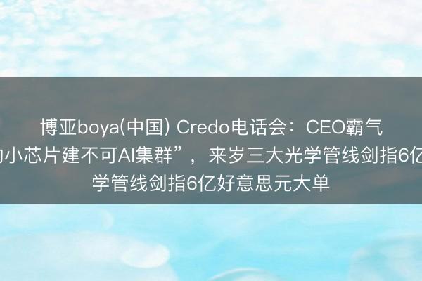 博亚boya(中国) Credo电话会:CEO霸气宣告“没咱们的小芯片建不可AI集群” ,来岁三大光学管线剑指6亿好意思元大单
