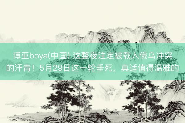 博亚boya(中国) 这整夜注定被载入俄乌冲突的汗青!5月29日这一轮垂死,真适值得温雅的