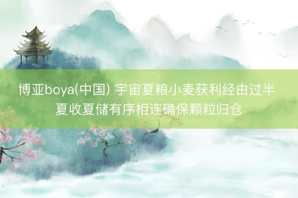 博亚boya(中国) 宇宙夏粮小麦获利经由过半 夏收夏储有序相连确保颗粒归仓