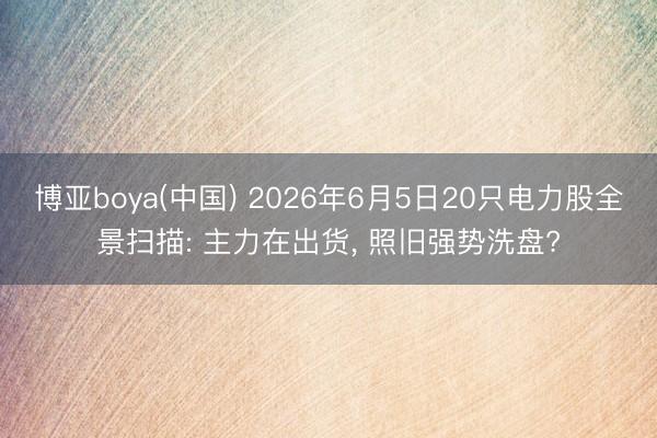 博亚boya(中国) 2026年6月5日20只电力股全景扫描: 主力在出货， 照旧强势洗盘?