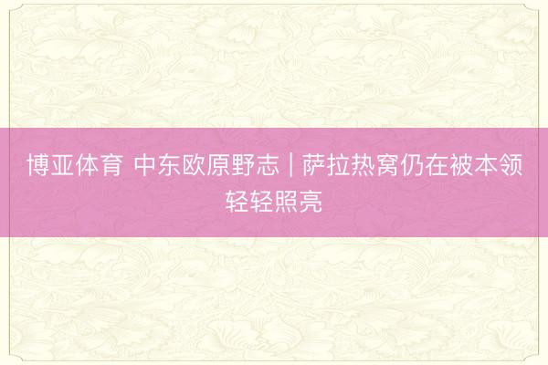 博亚体育 中东欧原野志 | 萨拉热窝仍在被本领轻轻照亮
