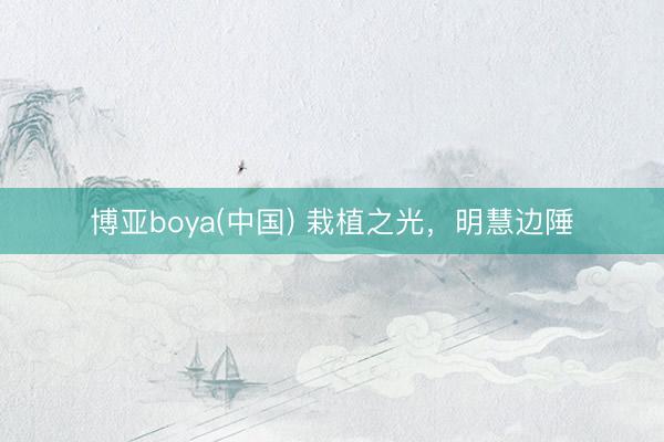 博亚boya(中国) 栽植之光，明慧边陲