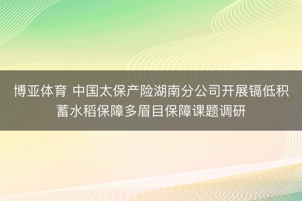 博亚体育 中国太保产险湖南分公司开展镉低积蓄水稻保障多眉目保障课题调研