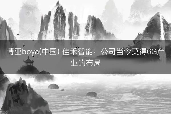 博亚boya(中国) 佳禾智能：公司当今莫得6G产业的布局
