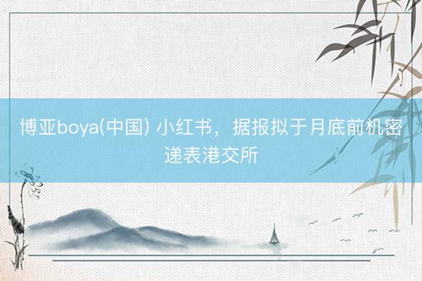 博亚boya(中国) 小红书，据报拟于月底前机密递表港交所